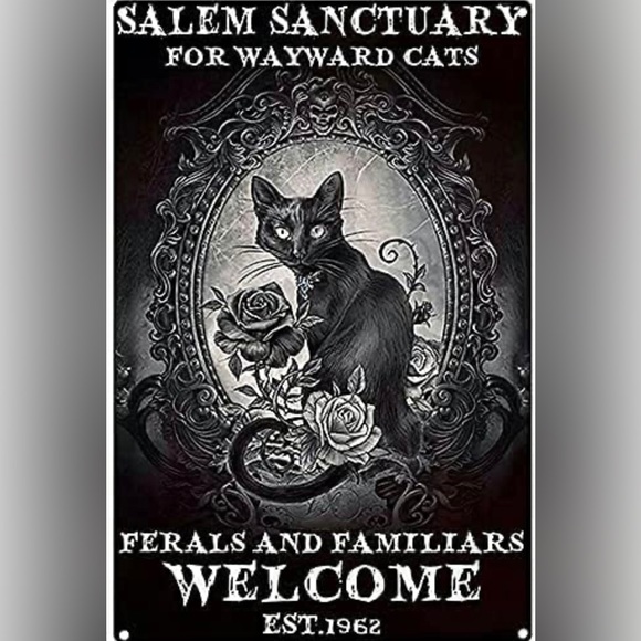 Salem Kitty Black Roses - Picture 1 of 2